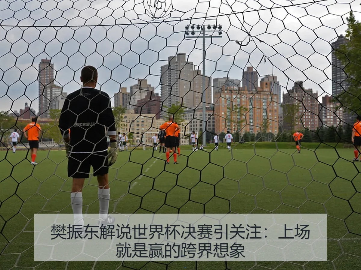 樊振东解说世界杯决赛引关注:上场就是赢的跨界想象