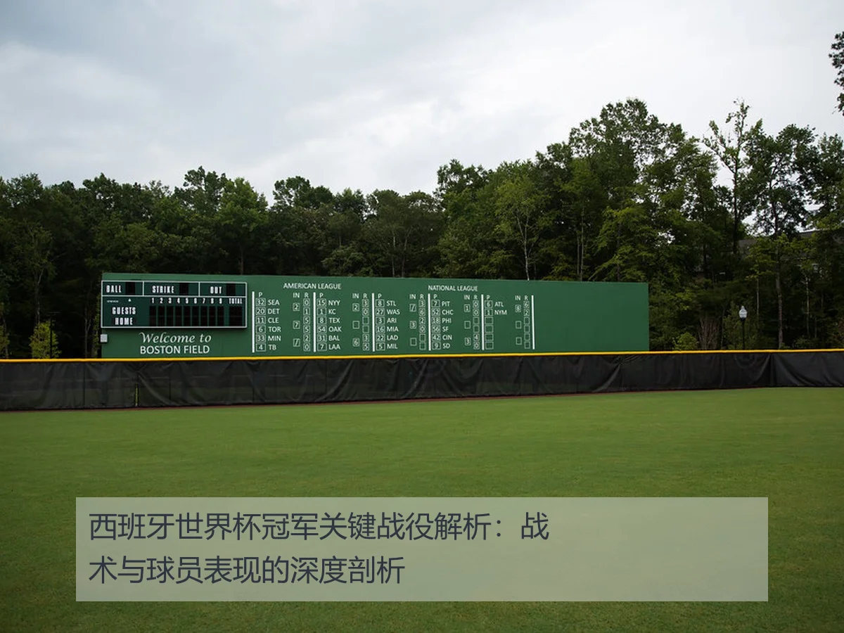 西班牙世界杯冠军关键战役解析：战术与球员表现的深度剖析